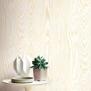 Structure Wood Texture Lifestyle