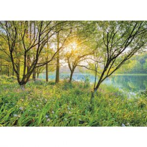 Komar Spring Lake Mural